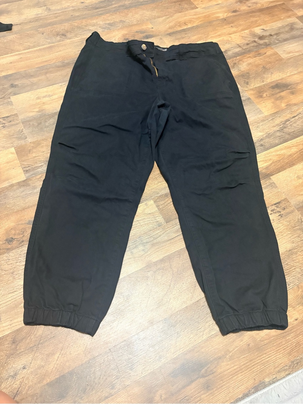 torrid Black Elastic Cuff Jogger Pants